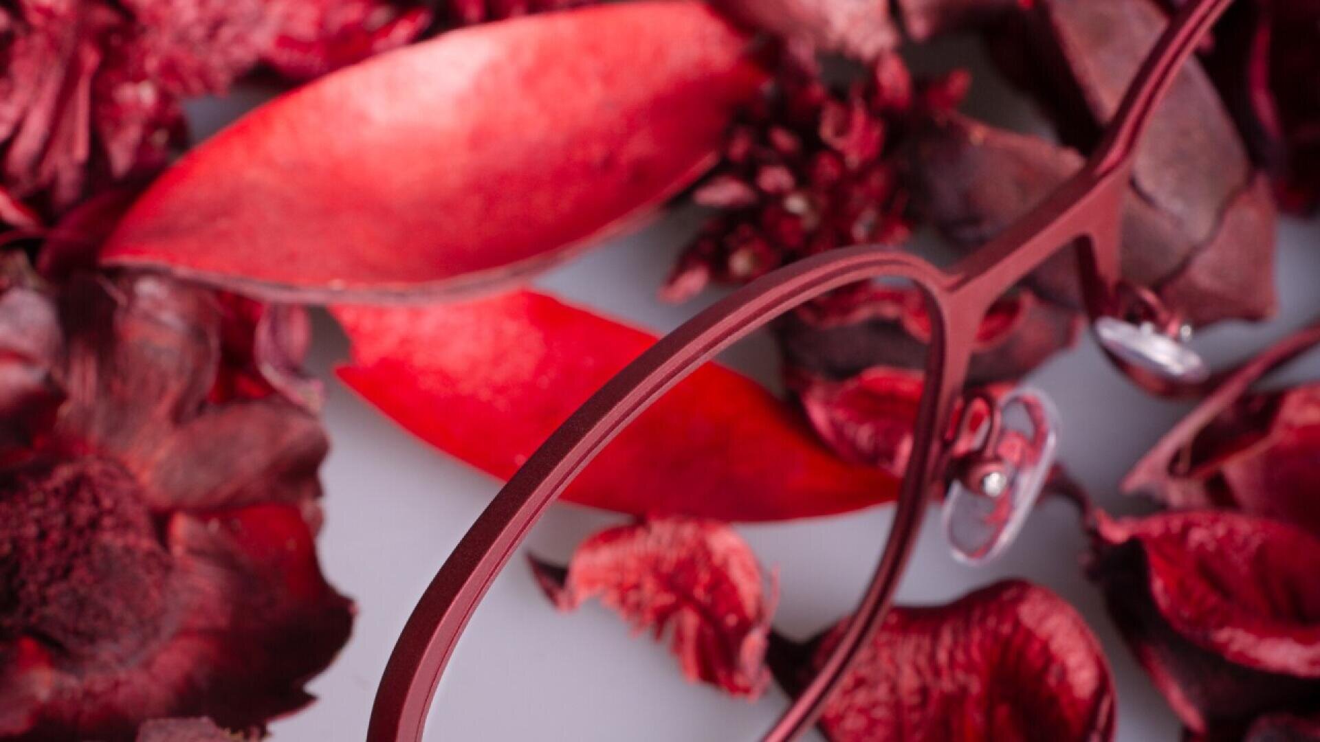 Nahaufnahme einer roten Brille, die zwischen roten und braunen getrockneten Blättern und Blütenblättern liegt und einen lebendigen, strukturierten Hintergrund bildet. Der Fokus liegt auf der Brille und den umgebenden dekorativen Elementen.