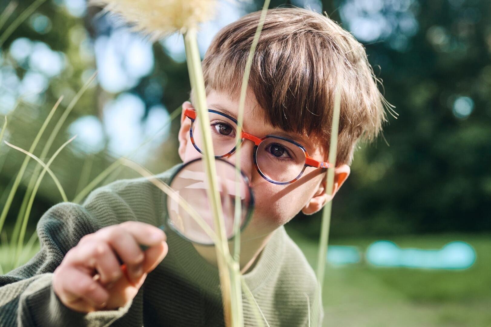 Ein kleines Kind mit Brille betrachtet eine Pflanze durch ein Vergrößerungsglas an einem sonnigen Tag im Freien, umgeben von Grün.