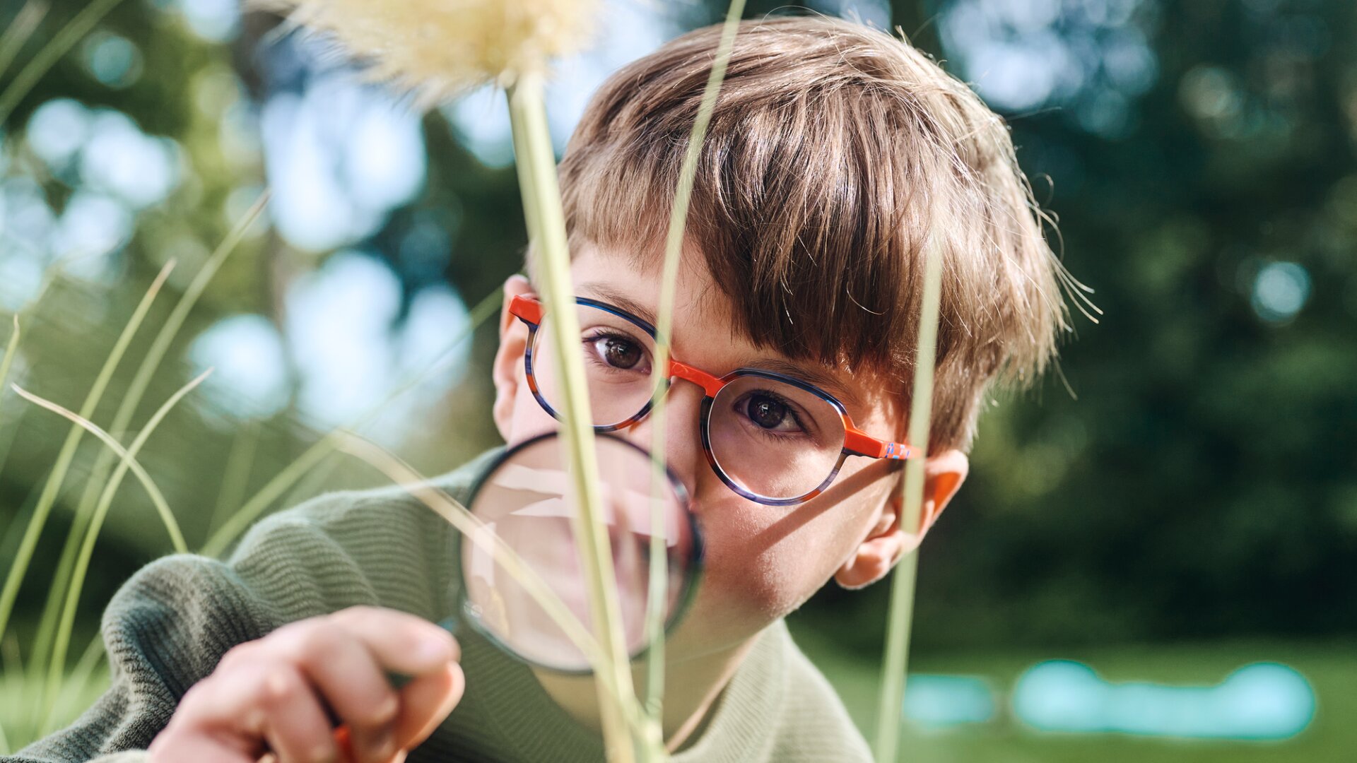 Ein kleiner Junge mit Brille untersucht an einem sonnigen Tag im Freien mit einer Lupe eine Pflanze, wobei er sich intensiv darauf konzentriert und von viel Grün umgeben ist.