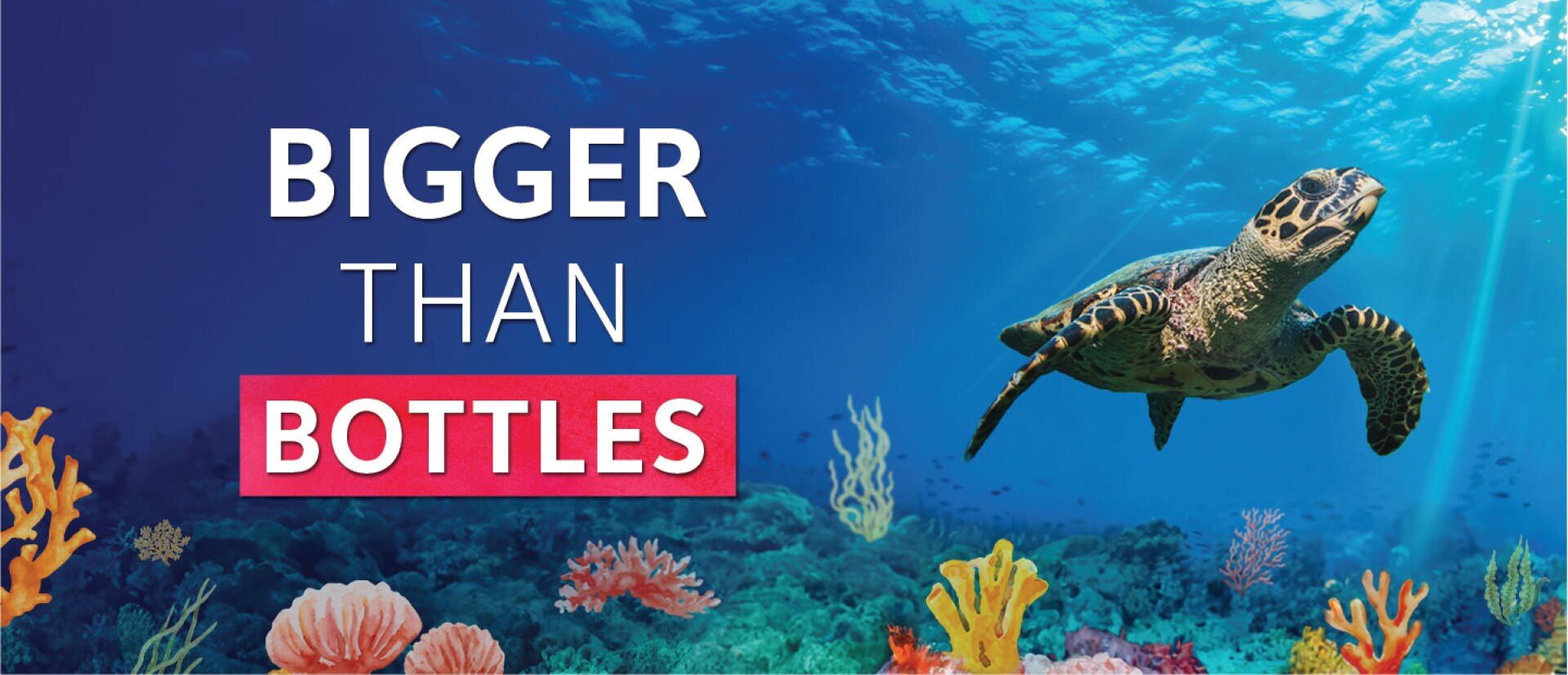 Eine Meeresschildkröte schwimmt über farbenfrohen Korallenriffen im klaren blauen Wasser. Der große Text lautet „BIGGER THAN BOTTLES“ (Größer als Flaschen), wobei „Flaschen“ auf rosa Hintergrund hervorgehoben ist. Sonnenlicht fällt durch das Wasser.
