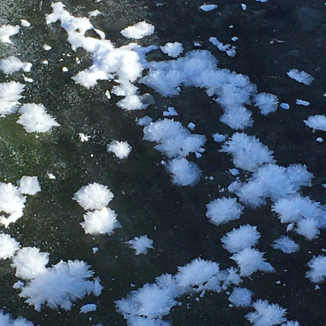 Weiße, flauschige Eiskristalle sind über die Oberfläche eines dunklen, gefrorenen Gewässers verstreut und bilden eine zarte und strukturierte Winterlandschaft.