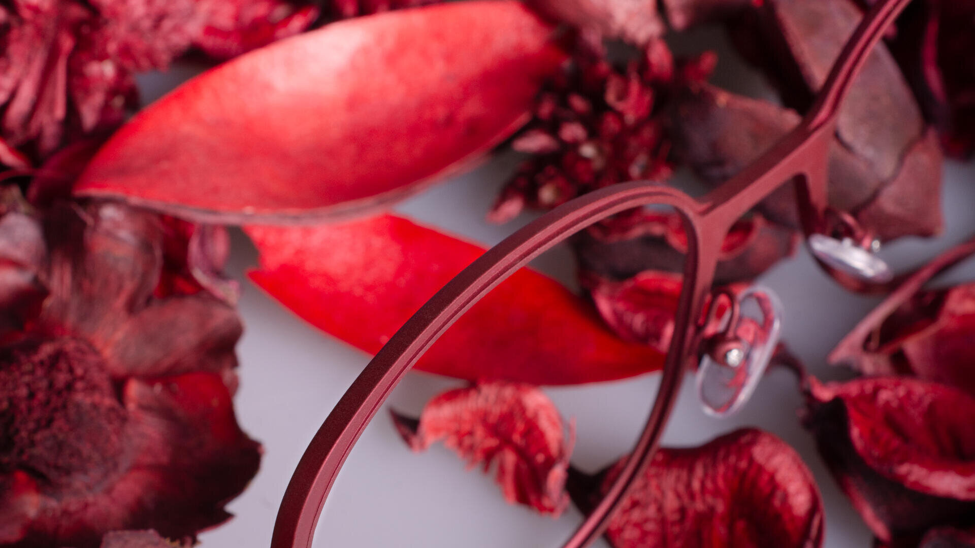Close-up of red eyeglasses resting among dried red and brown leaves and petals, creating a vibrant and textured background.