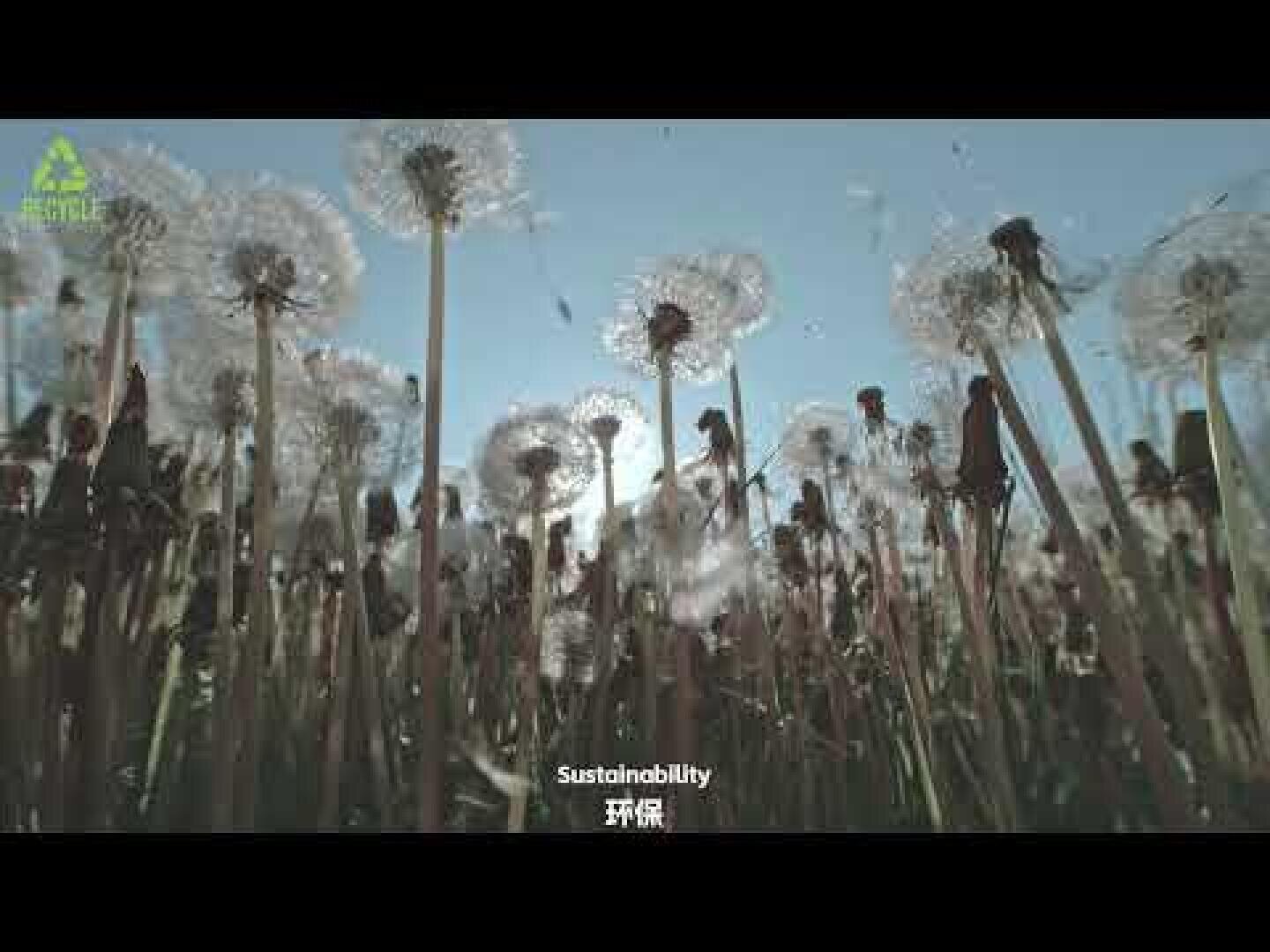 A low-angle view of dandelions with seeds blowing in the wind against a blue sky. The word Sustainability and Chinese characters are visible at the bottom of the image.