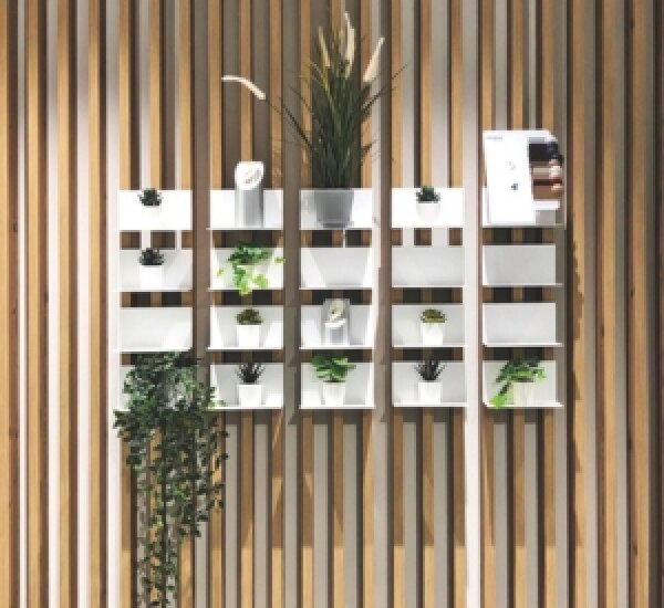An der Wand befestigte weiße Regale mit kleinen Topfpflanzen und einigen Büchern, die ordentlich vor einem Hintergrund aus vertikalen Holzlatten angeordnet sind. Einige Pflanzen sind belaubt, andere sind Sukkulenten oder hohe Gräser.