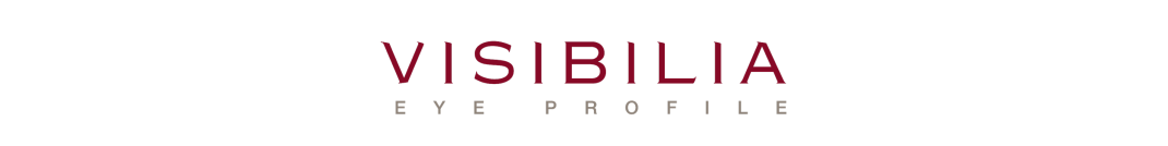 Visibilia_Logo_Center.png (0 MB)